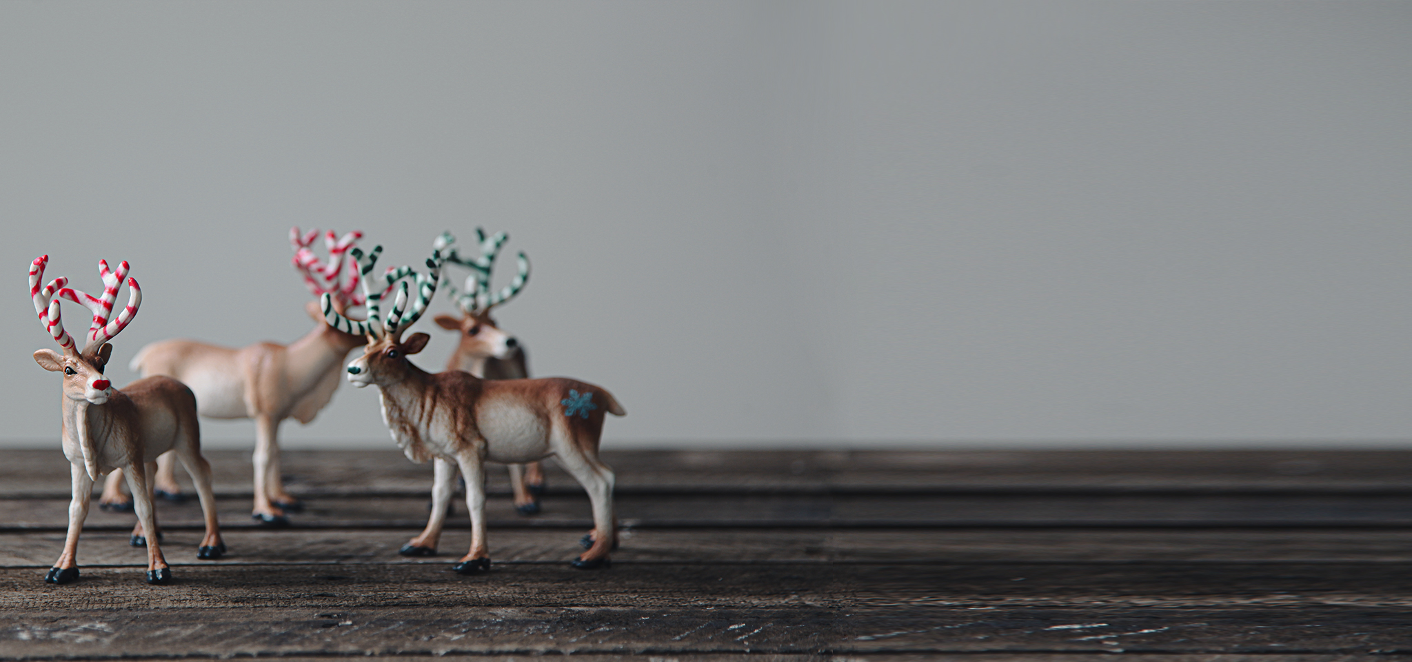 상품 섬네일 상품 섬네일