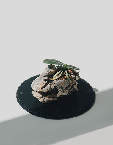 상품 섬네일 상품 섬네일