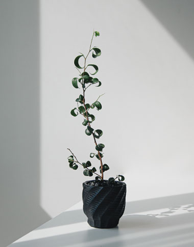 상품 섬네일 상품 섬네일