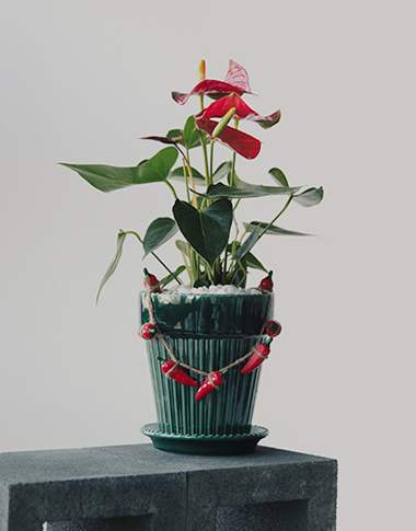 상품 섬네일 상품 섬네일