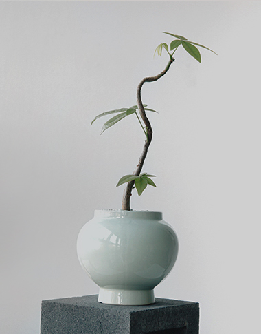 상품 섬네일 상품 섬네일