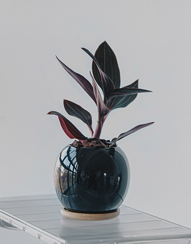 상품 섬네일 상품 섬네일