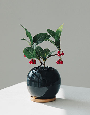 상품 섬네일 상품 섬네일