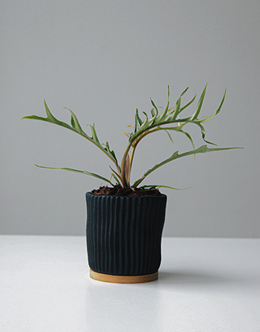 상품 섬네일 상품 섬네일