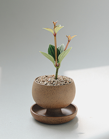 상품 섬네일 상품 섬네일