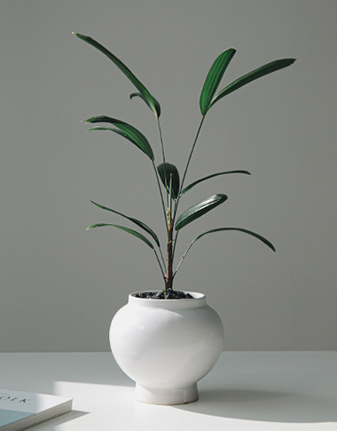 상품 섬네일 상품 섬네일