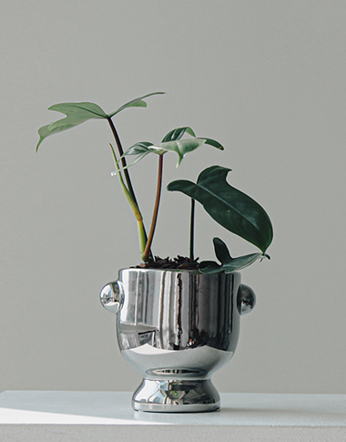 상품 섬네일 상품 섬네일