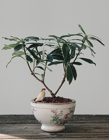 상품 섬네일 상품 섬네일