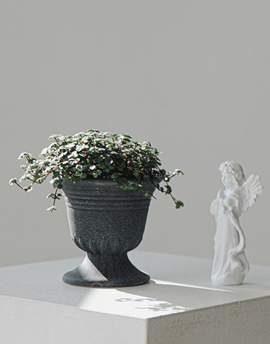 상품 섬네일 상품 섬네일