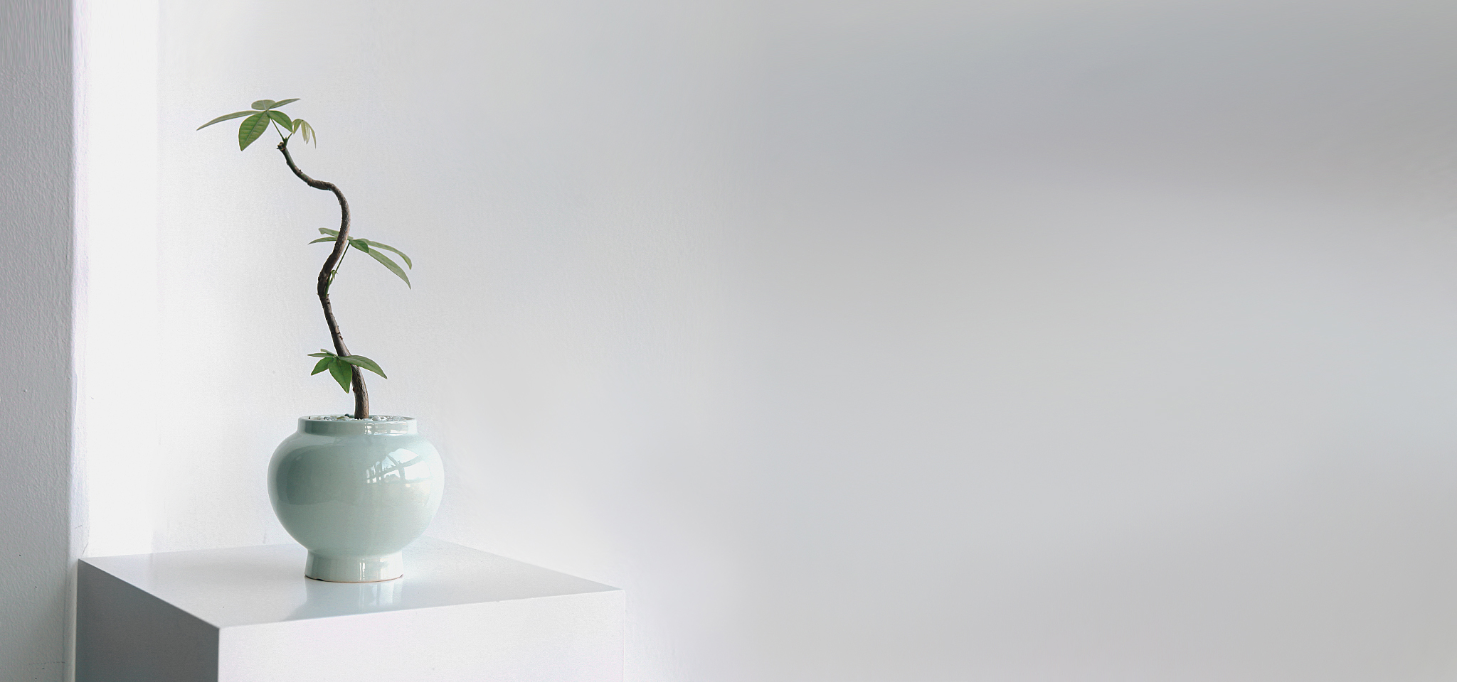 상품 섬네일 상품 섬네일