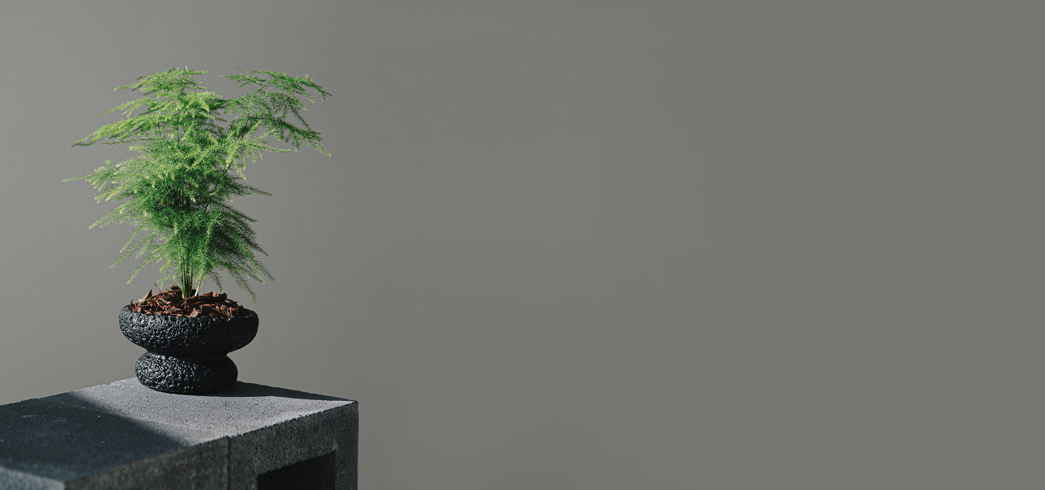 상품 섬네일 상품 섬네일