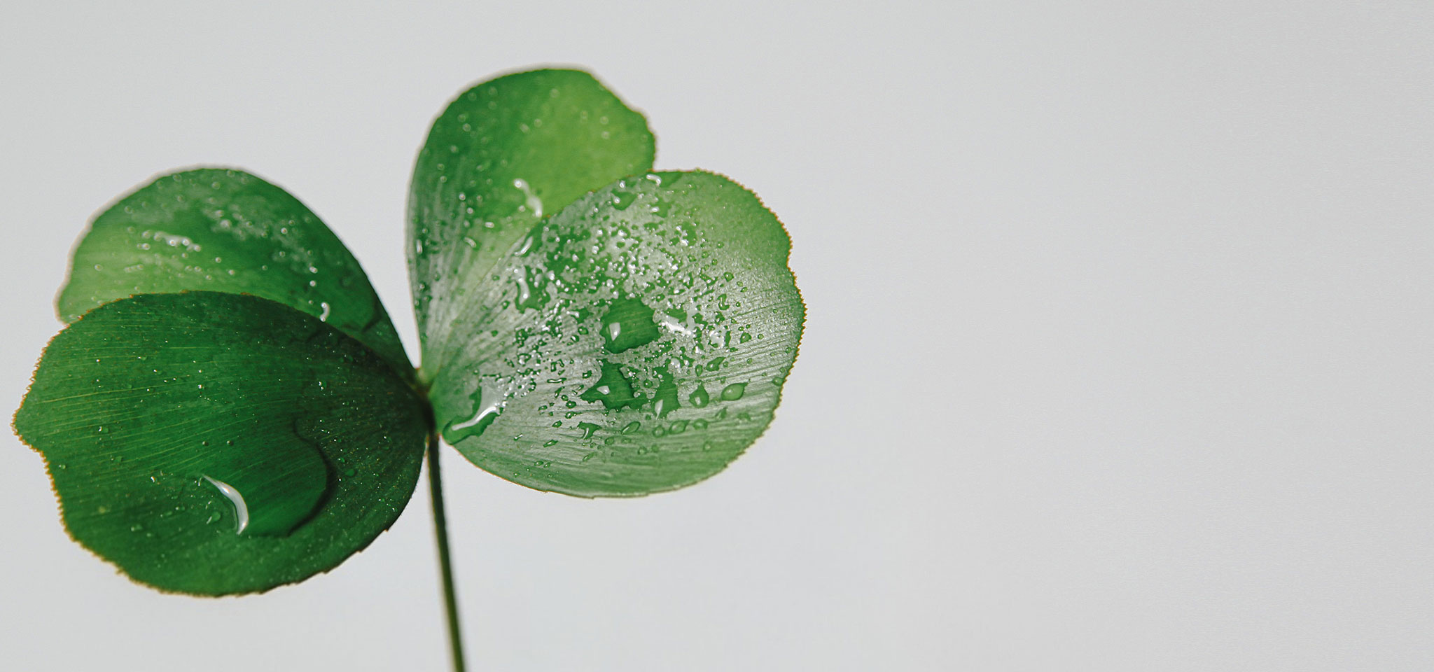 상품 섬네일 상품 섬네일