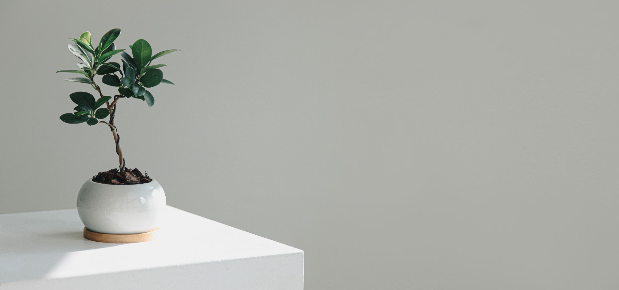 상품 섬네일 상품 섬네일