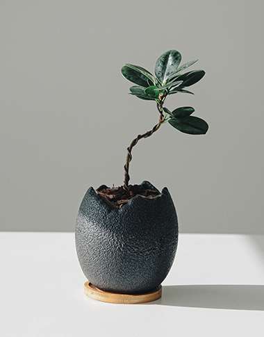 상품 섬네일 상품 섬네일