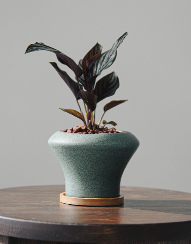 상품 섬네일 상품 섬네일