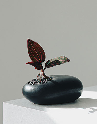 상품 섬네일 상품 섬네일