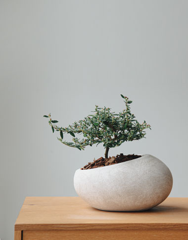 상품 섬네일 상품 섬네일