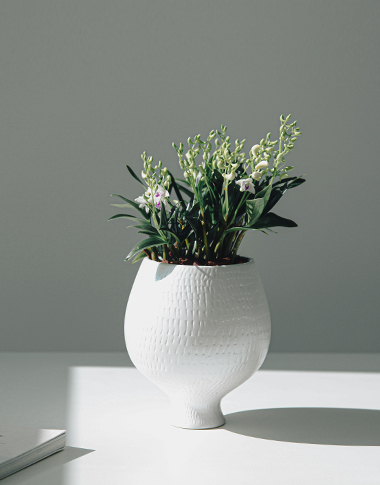 상품 섬네일 상품 섬네일