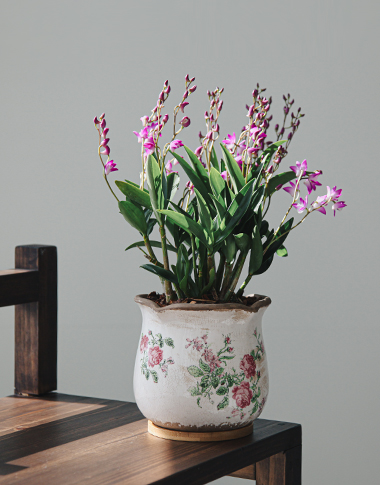 상품 섬네일 상품 섬네일