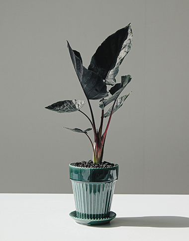 상품 섬네일 상품 섬네일