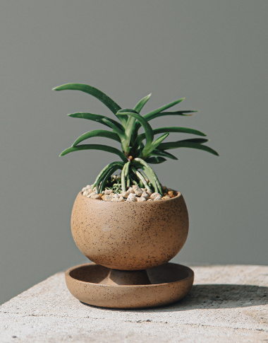 상품 섬네일 상품 섬네일