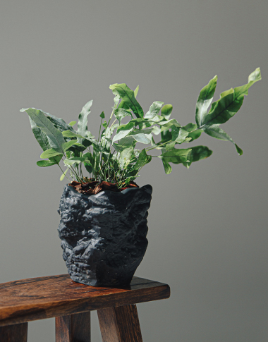 상품 섬네일 상품 섬네일