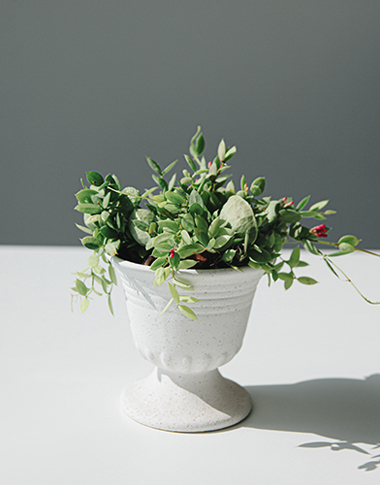 상품 섬네일 상품 섬네일