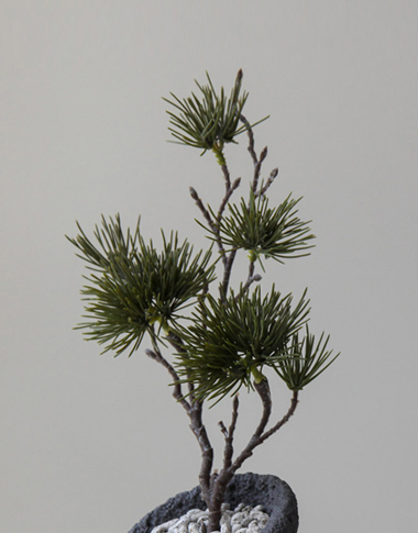 상품 섬네일 상품 섬네일